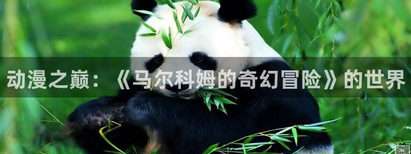 58动漫网手机版下载：动漫之巅：《马尔科姆的奇幻冒险》的世界