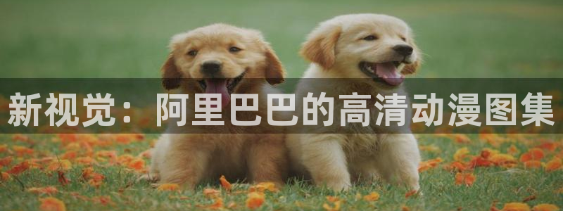 58动漫网的网址：新视觉：阿里巴巴的高清动漫图集