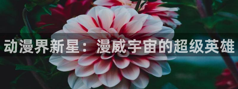 58动漫网.：动漫界新星：漫威宇宙的超级英雄