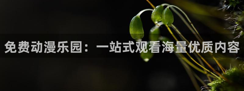 58动漫免费看：免费动漫乐园：一站式观看海量优质内容